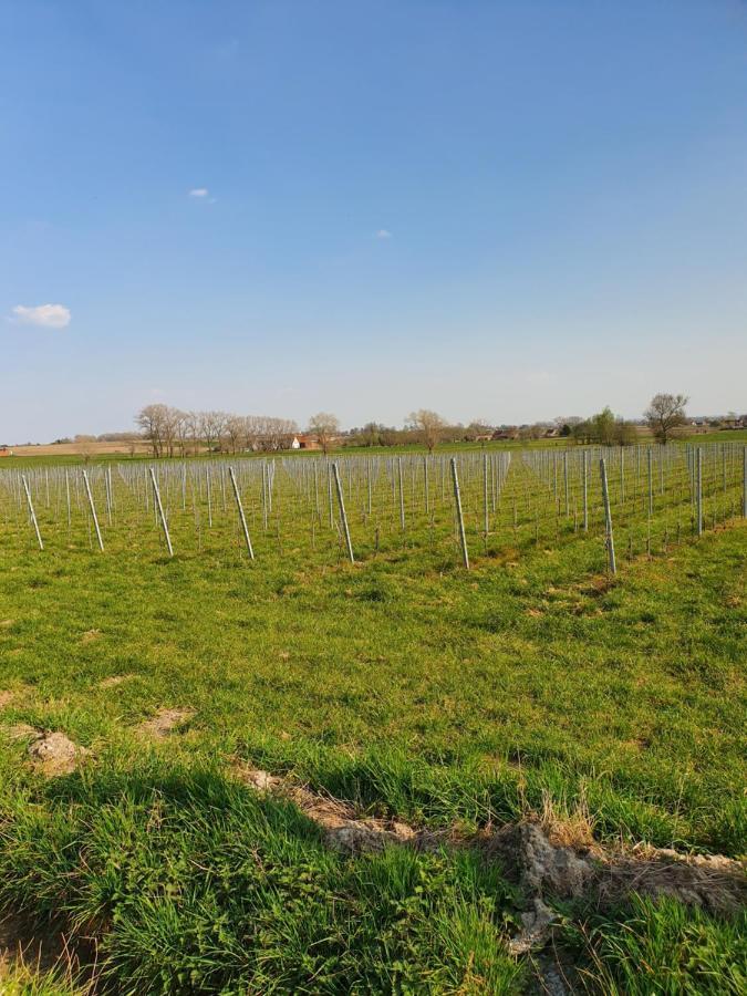 B&B Kanegem Onverbloemd Tielt Exterior photo